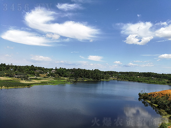 四川福華高科種業有限責任公司