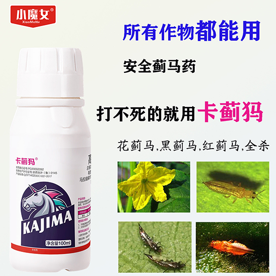 鑺辮摕椹?.jpg