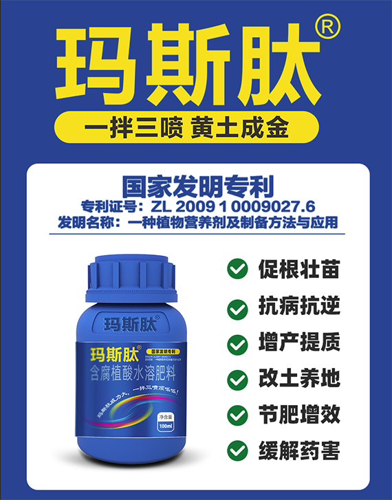 QQ鍥劇墖20241111095039.png