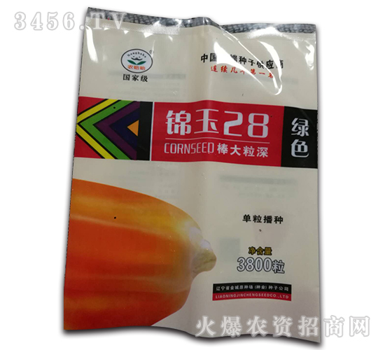 錦玉28-玉米種子-天成種業