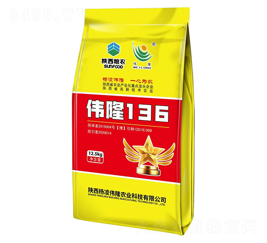 偉隆136小麥種子-陜西糧農-偉隆農業
