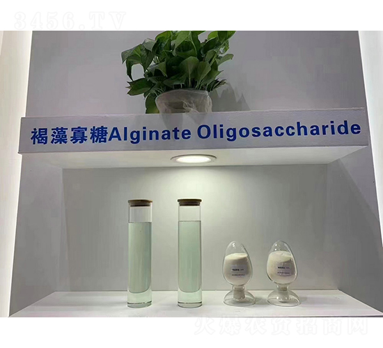 褐藻寡糖-生益生物