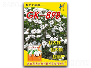 GK-898-�޻��N��-��r�I