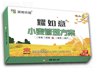 小麥管理方案-耀樂收-農耀生物