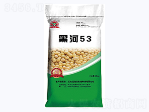 �ں�53-�󶹷N��-�L�ǷN�I(y��)