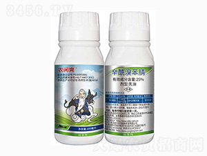25%�����屽��-�r�eˬ-���r��