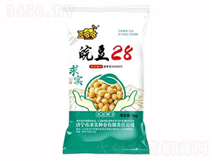 �28-������-�󌍷N�I
