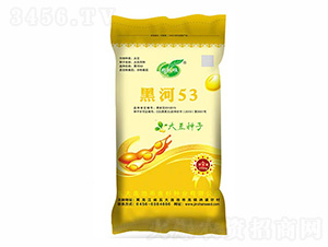 �ں�53-��ɼ�N�I