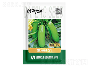 �S��601-�����J�N��-���S�N�I