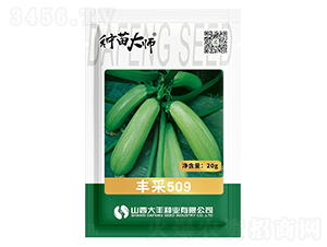 �S��509-�����J�N��-���S�N�I