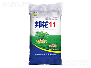 邦花11-冠豐園-邦邦種業