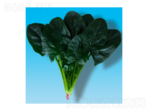 ���˷N��-孲�012-�A孷N�I