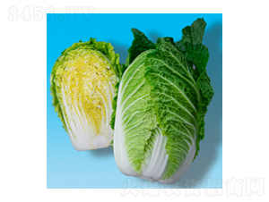��ײ˷N��-��S321-�A孷N�I